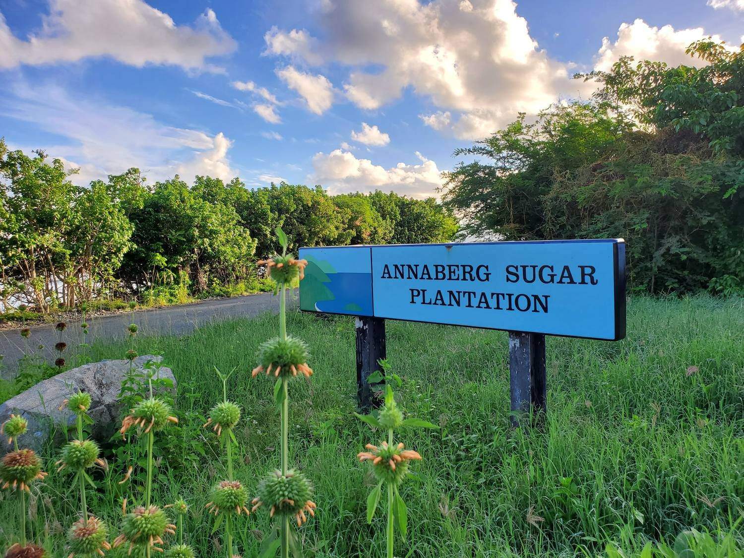 The Annaberg Sugar Plantation sign in Virgin Islands National Park, St. John
