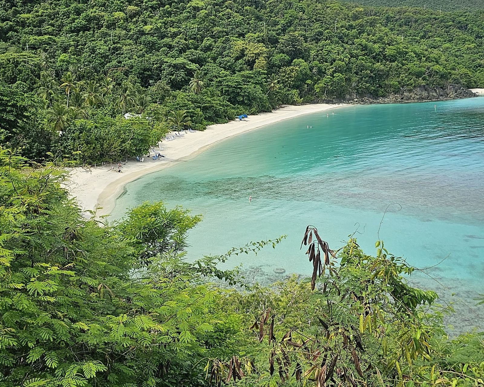 Oppenheimer Beach white sand crescent from above
